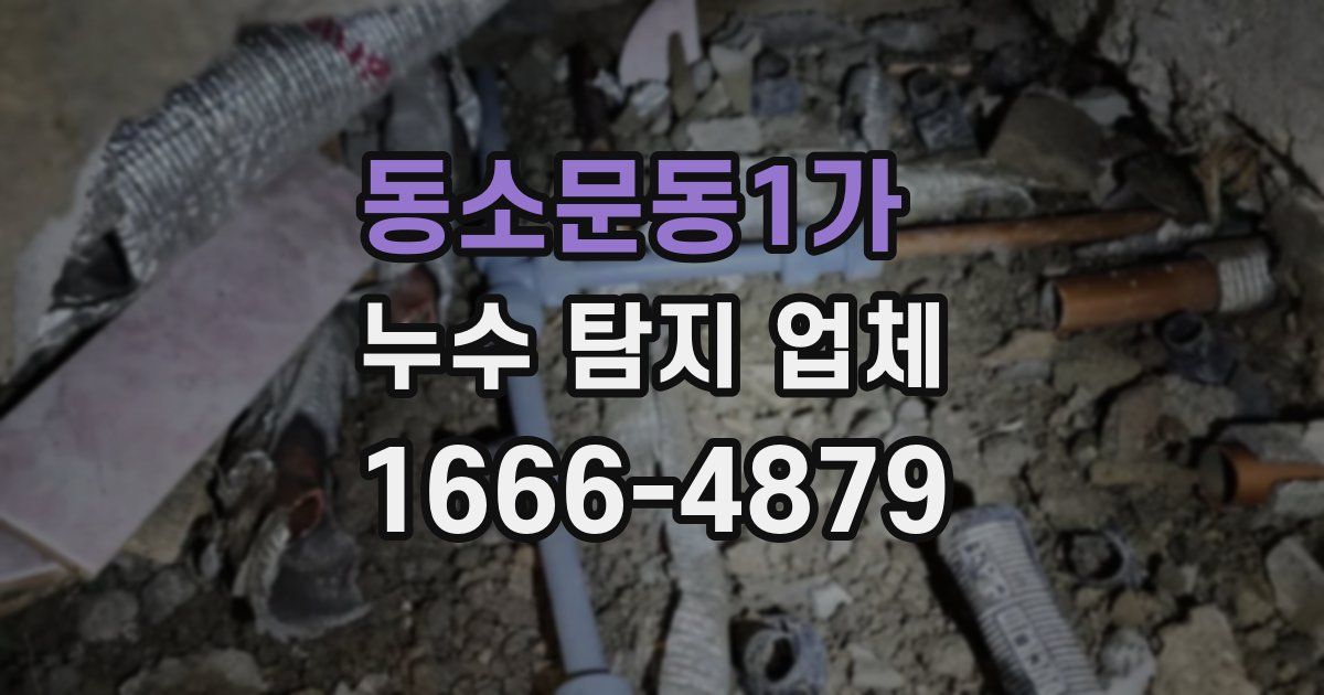 동소문동1가 누수 탐지 업체