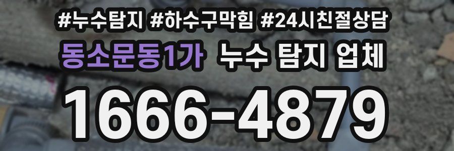 동소문동1가 누수 탐지 업체