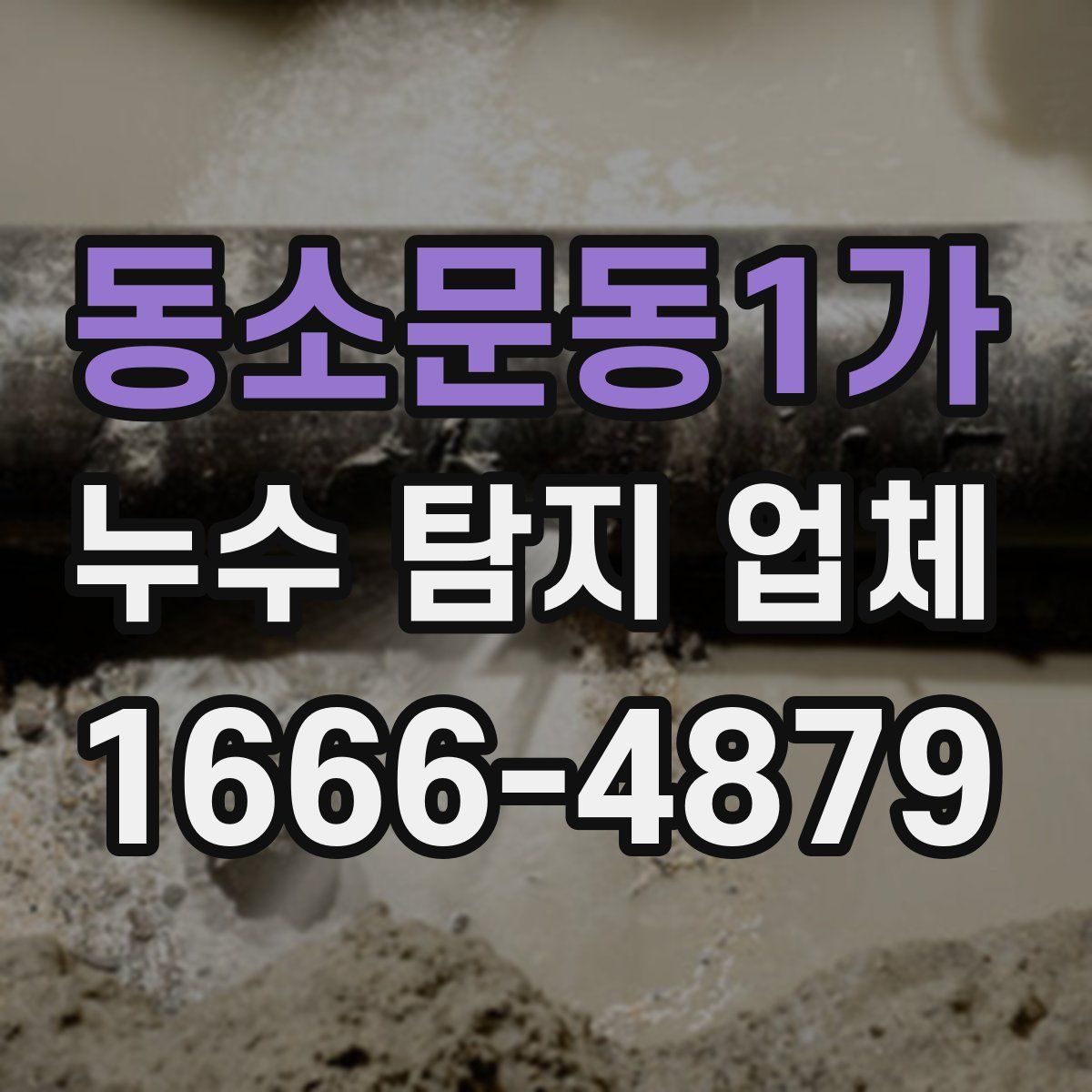 동소문동1가 누수 탐지 업체