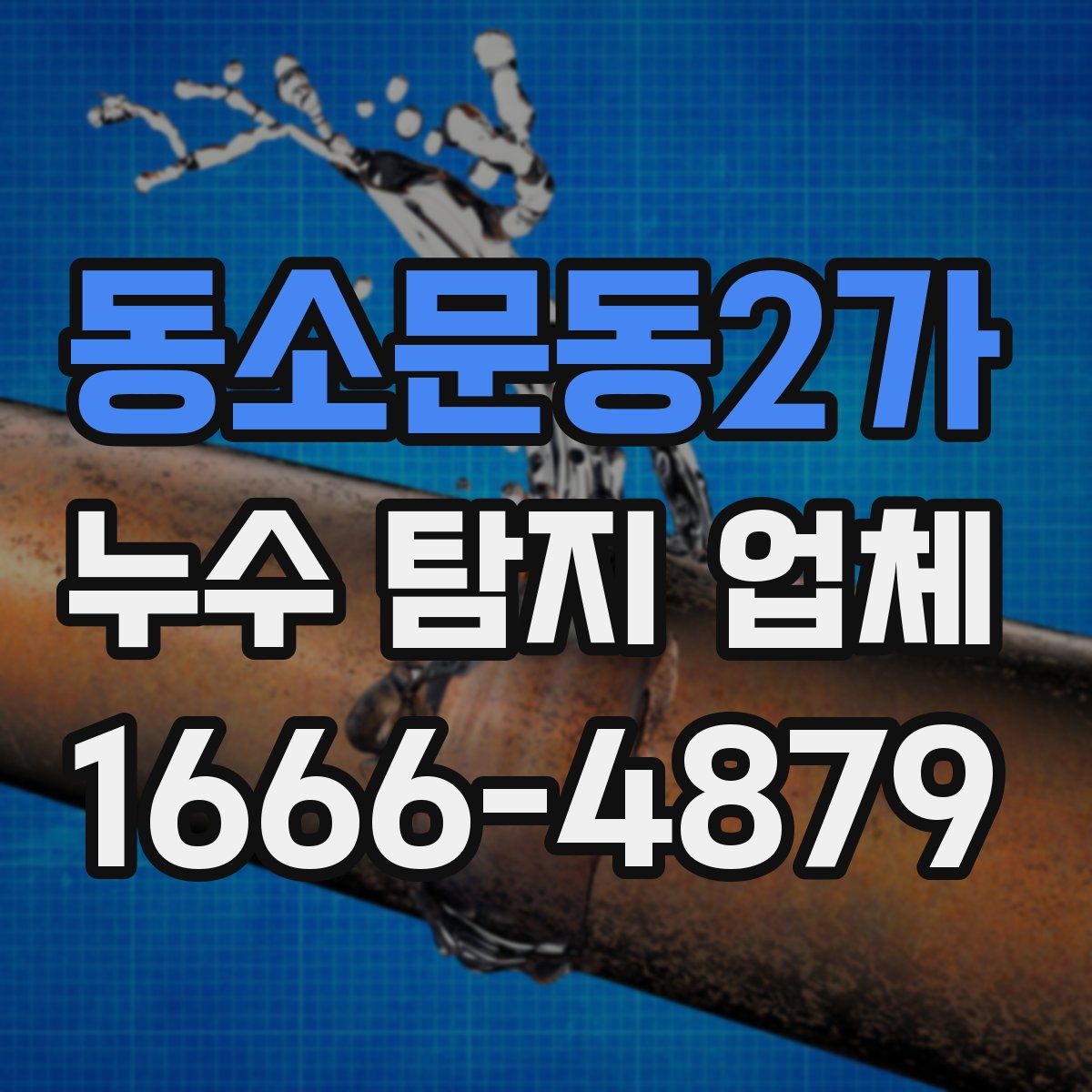 동소문동2가 누수 탐지 업체