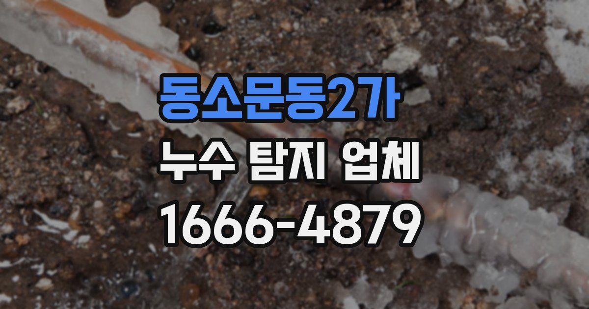 동소문동2가 누수 탐지 업체