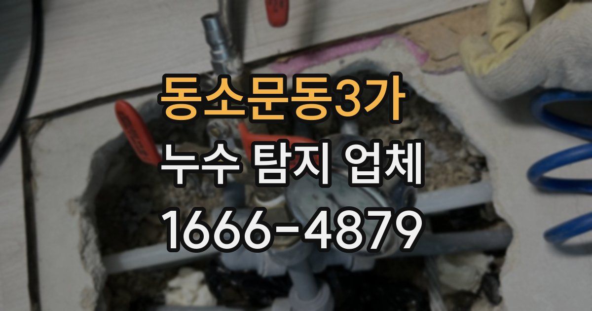 동소문동3가 누수 탐지 업체