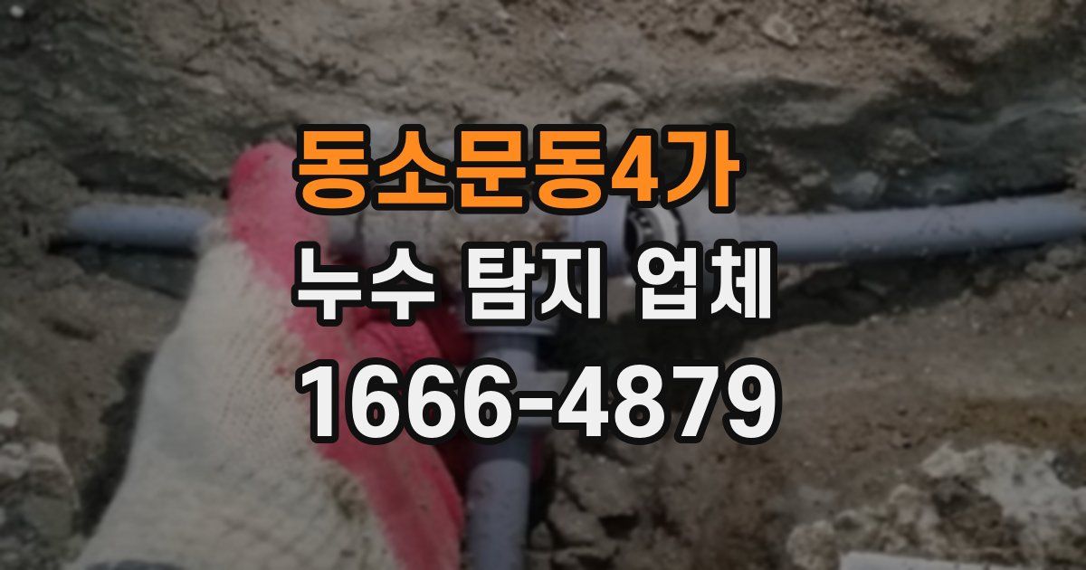 동소문동4가 누수 탐지 업체