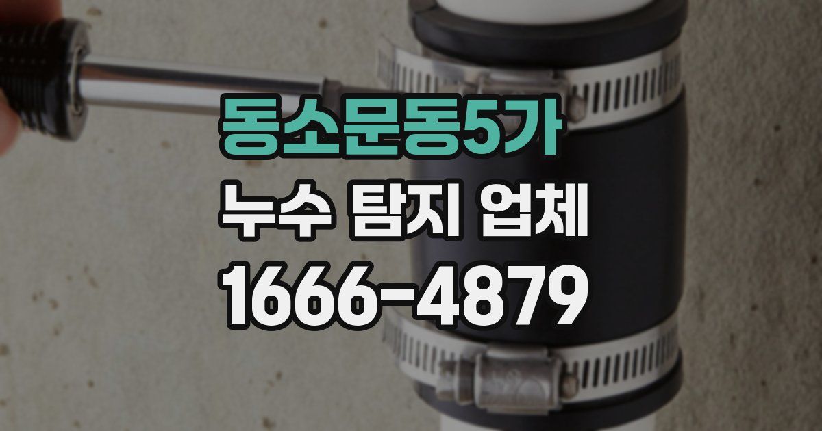 동소문동5가 누수 탐지 업체