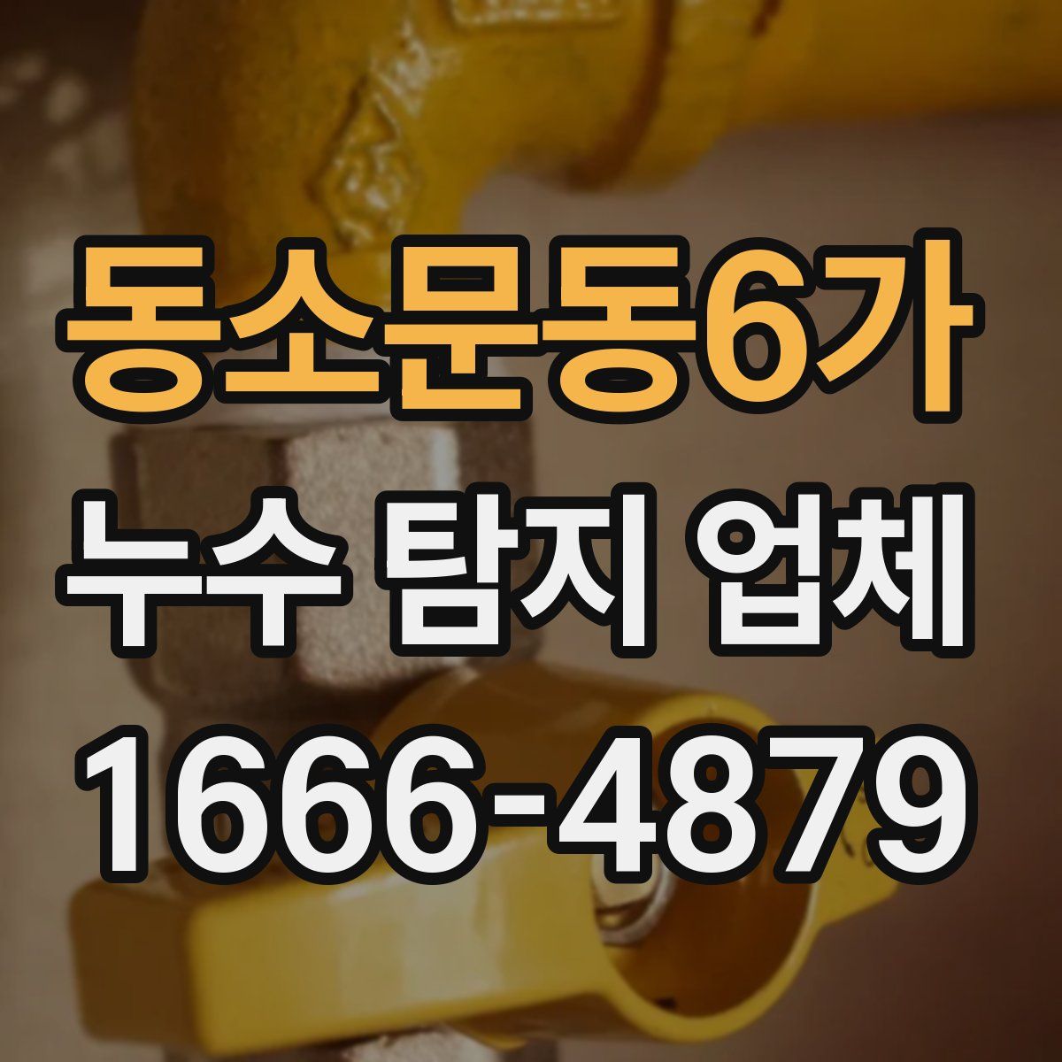 동소문동6가 누수 탐지 업체