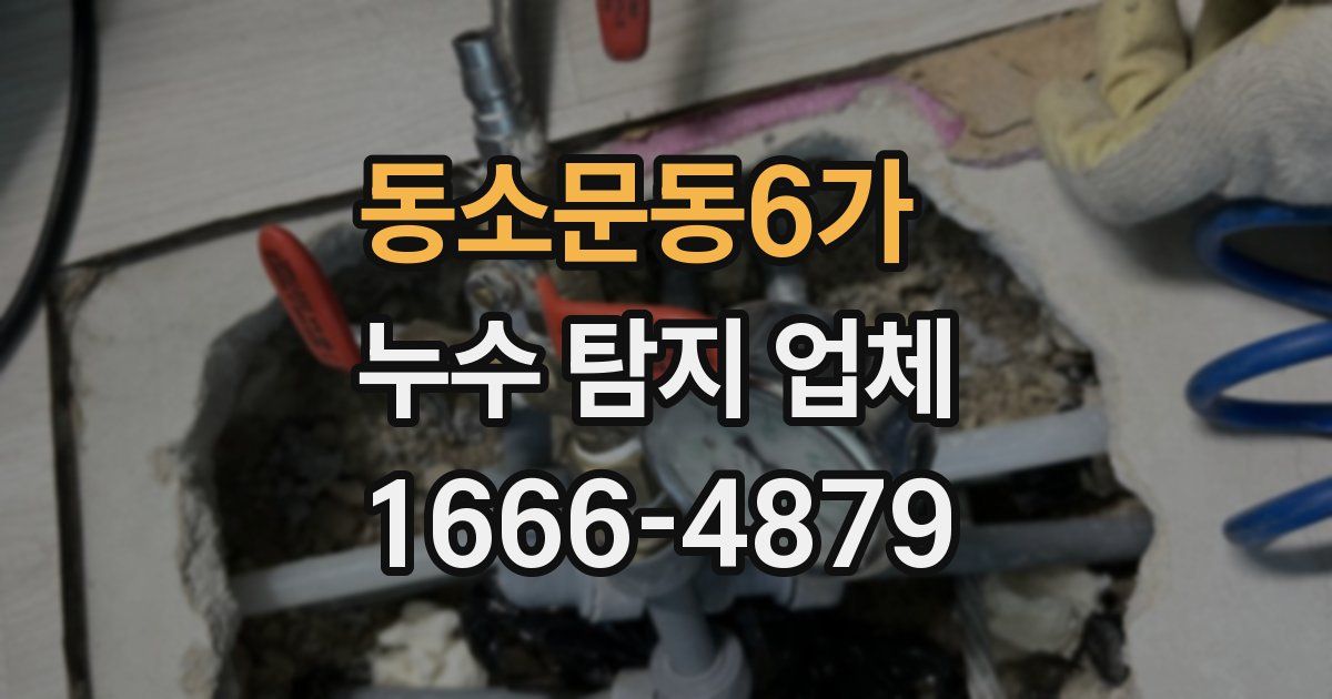 동소문동6가 누수 탐지 업체