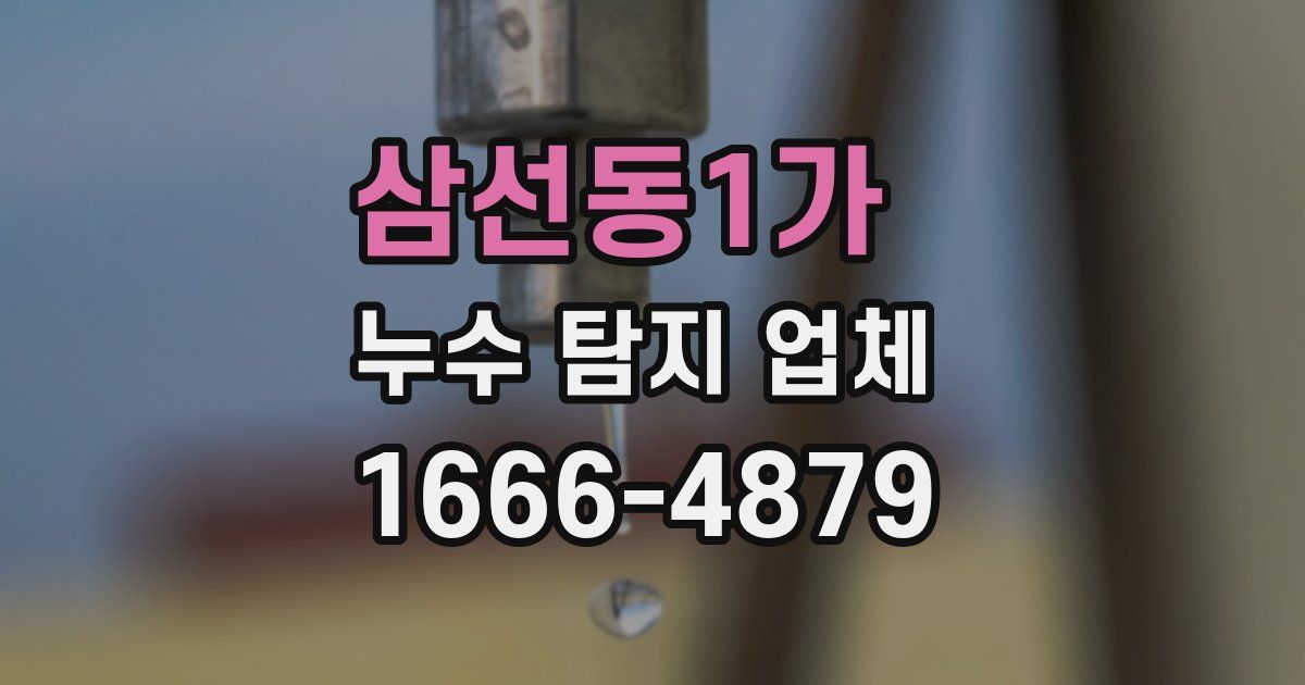 삼선동1가 누수 탐지 업체