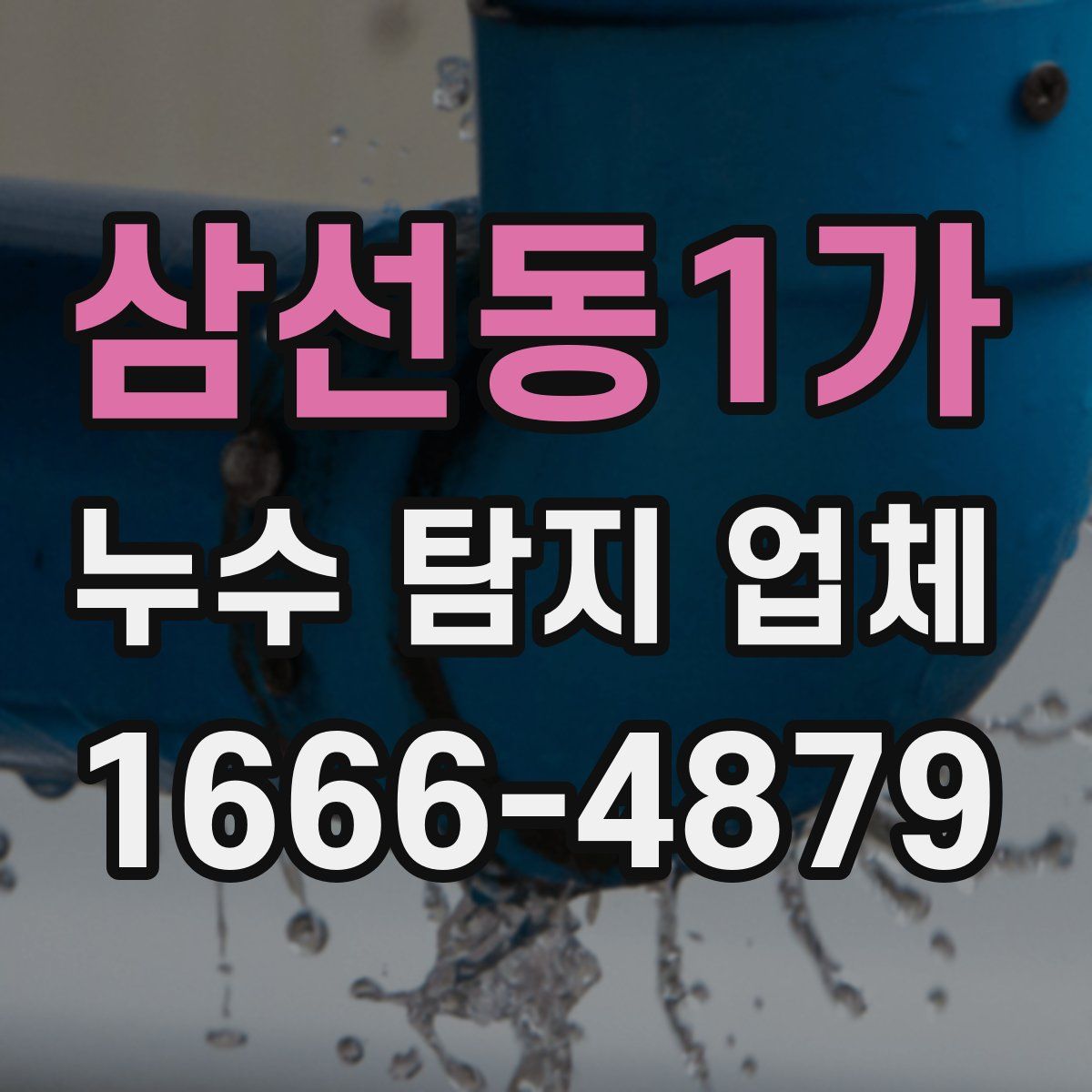 삼선동1가 누수 탐지 업체
