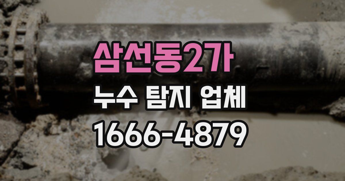 삼선동2가 누수 탐지 업체