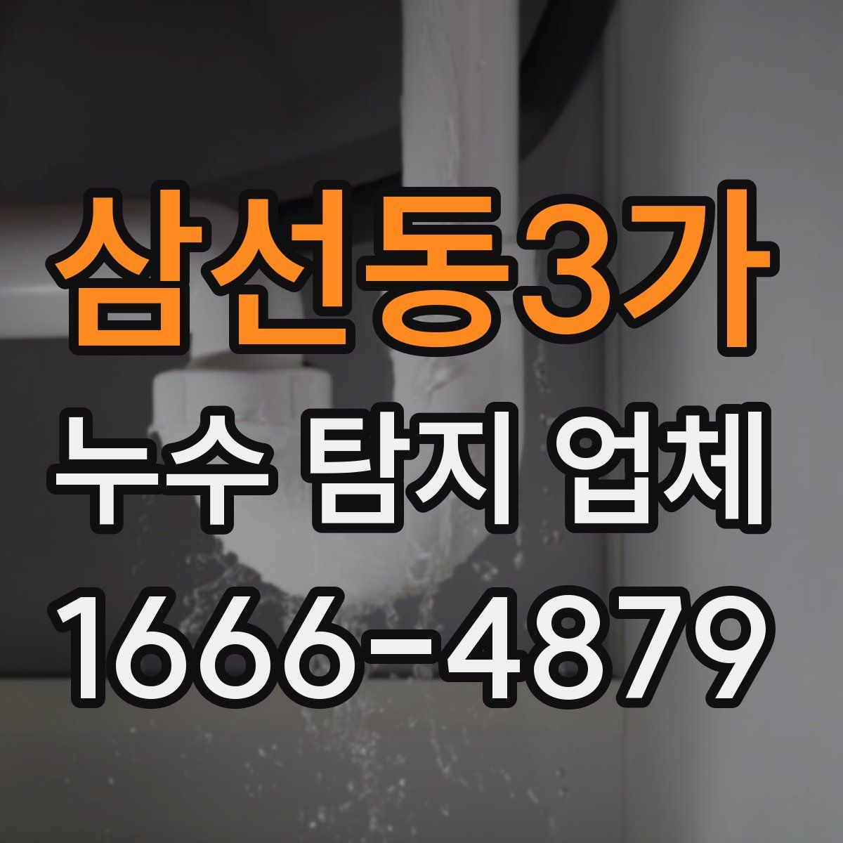삼선동3가 누수 탐지 업체