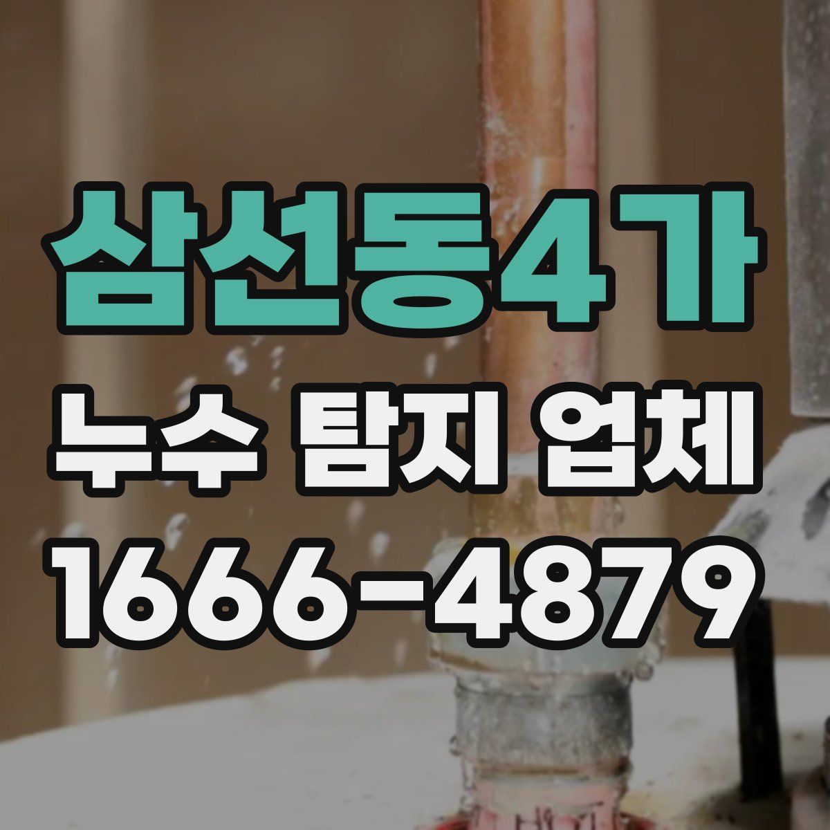 삼선동4가 누수 탐지 업체