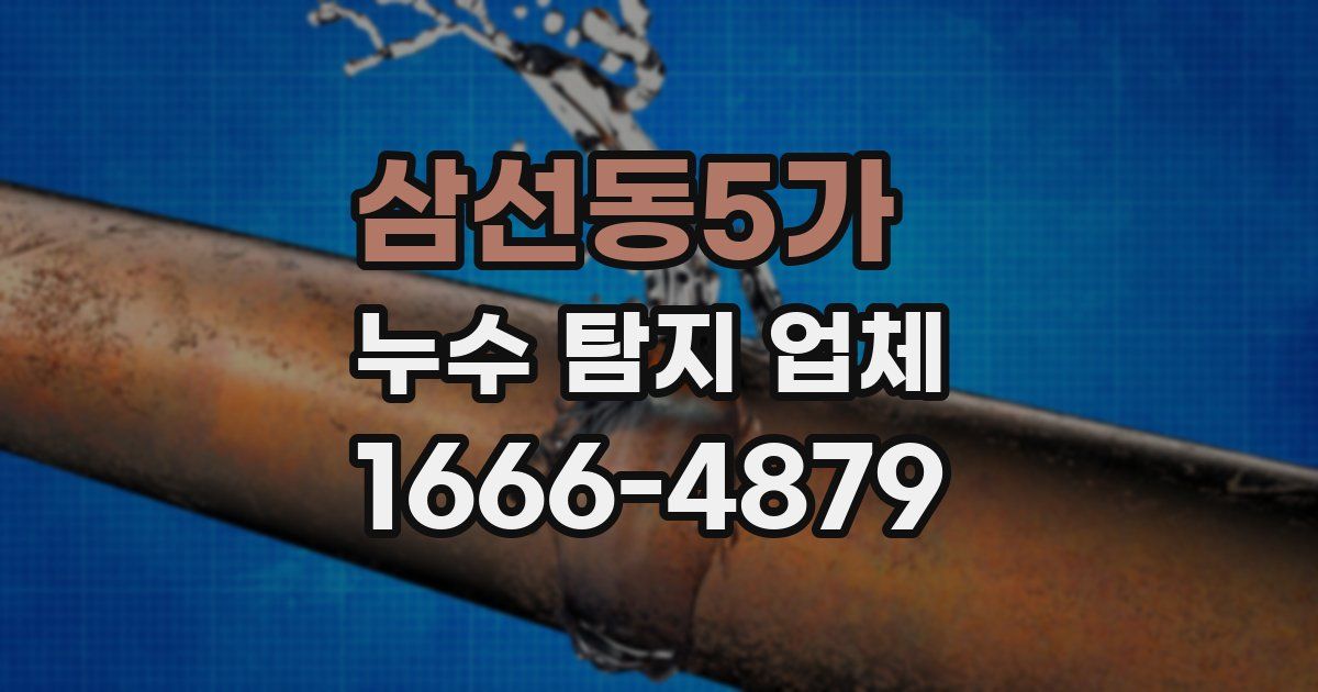 삼선동5가 누수 탐지 업체