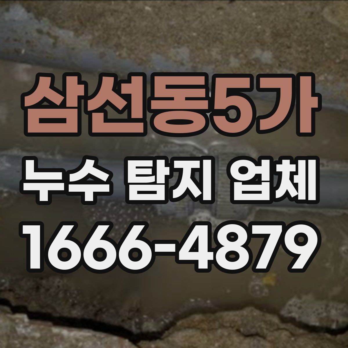 삼선동5가 누수 탐지 업체