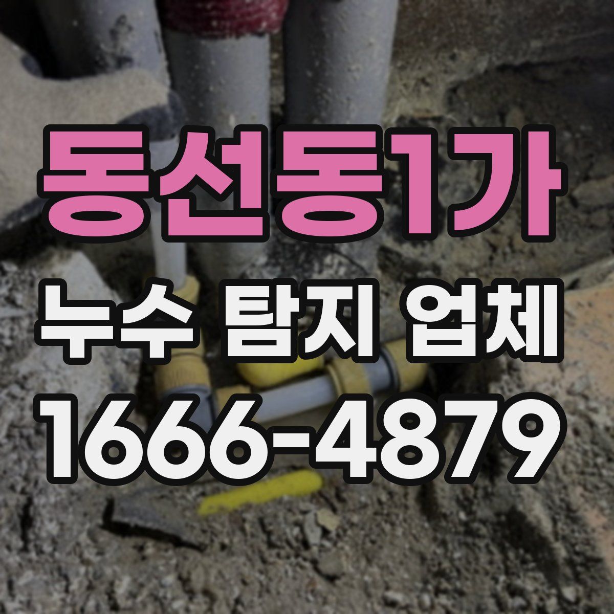 동선동1가 누수 탐지 업체