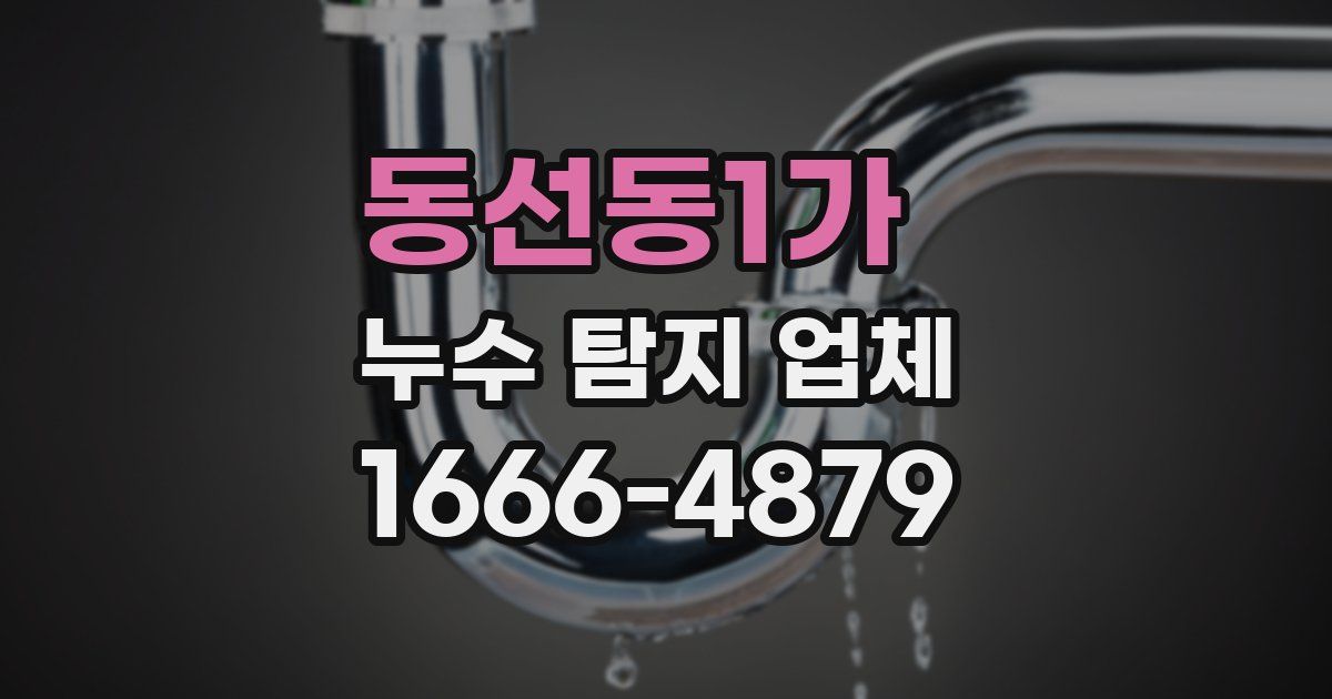 동선동1가 누수 탐지 업체