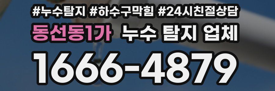 동선동1가 누수 탐지 업체