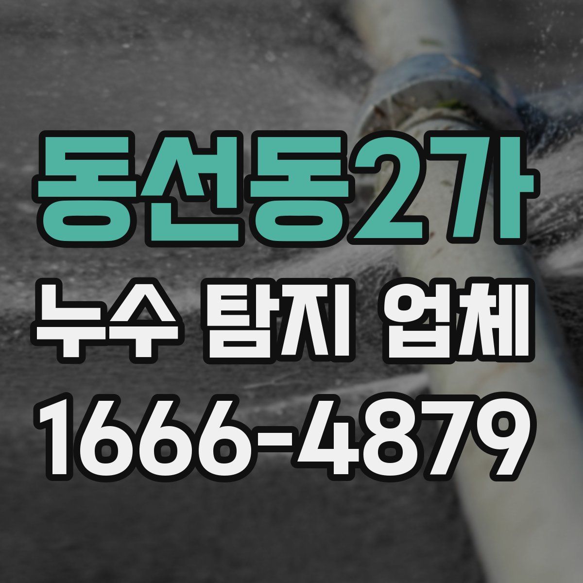 동선동2가 누수 탐지 업체