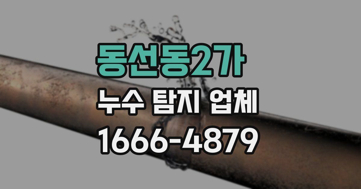 동선동2가 누수 탐지 업체