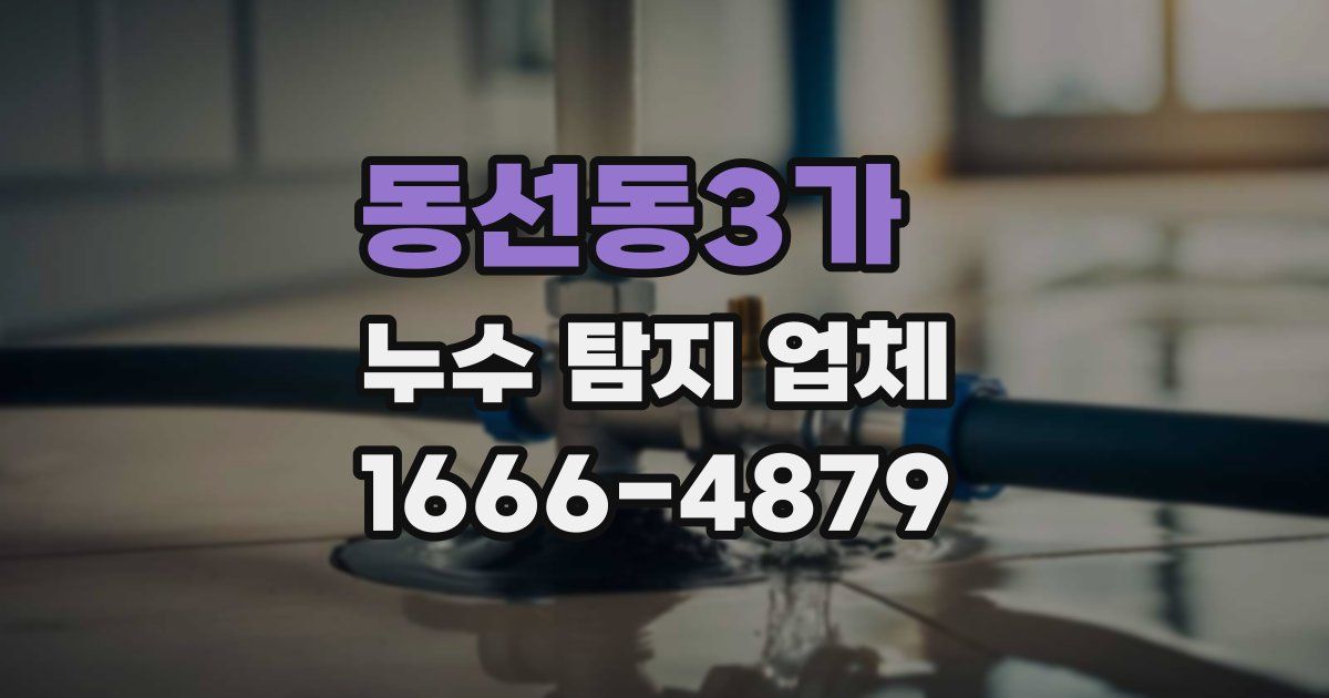 동선동3가 누수 탐지 업체