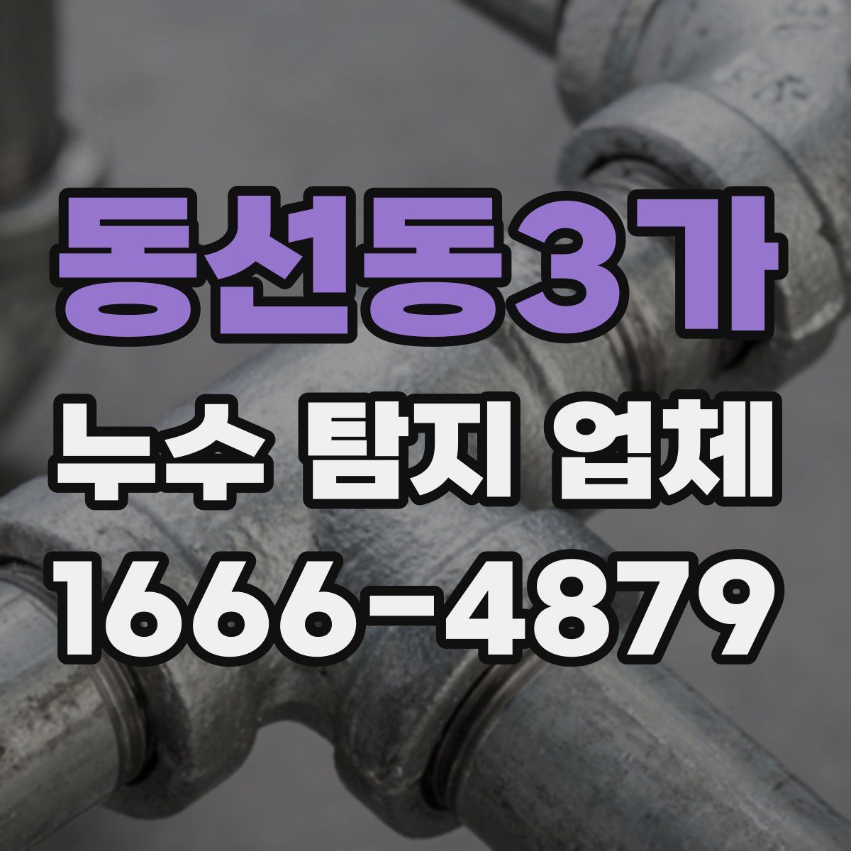 동선동3가 누수 탐지 업체
