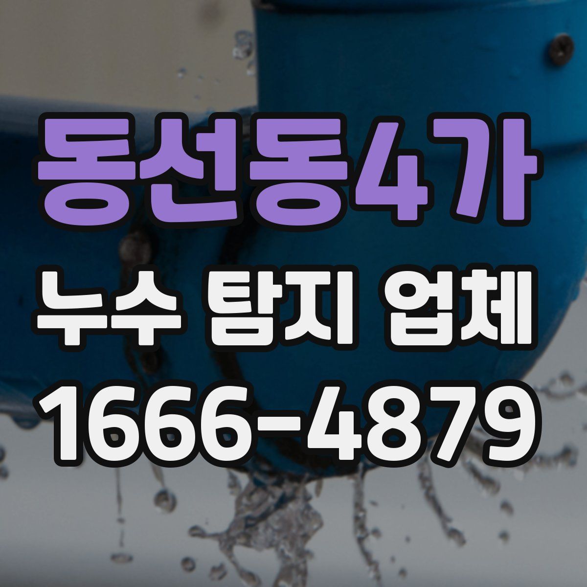 동선동4가 누수 탐지 업체