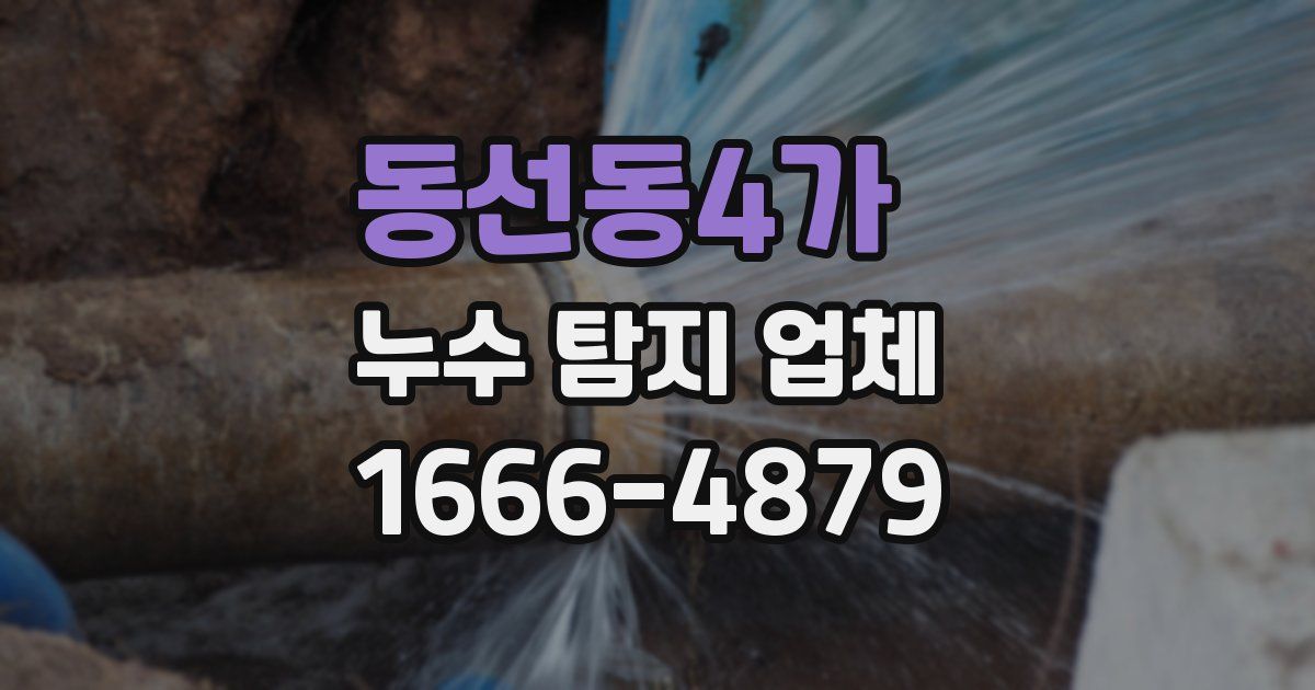 동선동4가 누수 탐지 업체