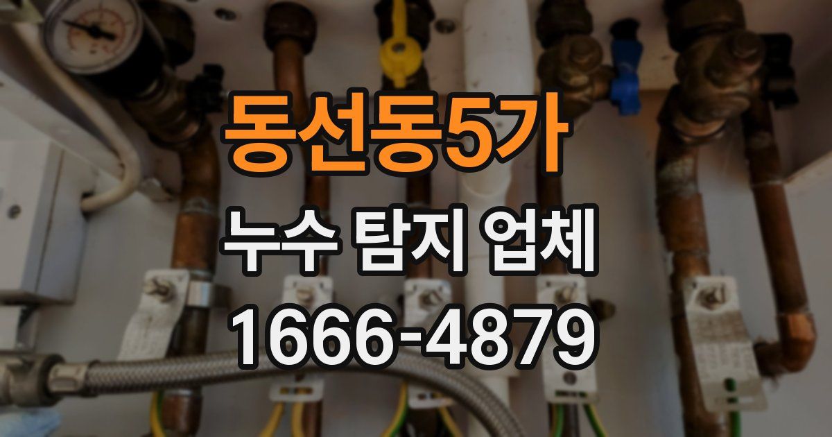 동선동5가 누수 탐지 업체
