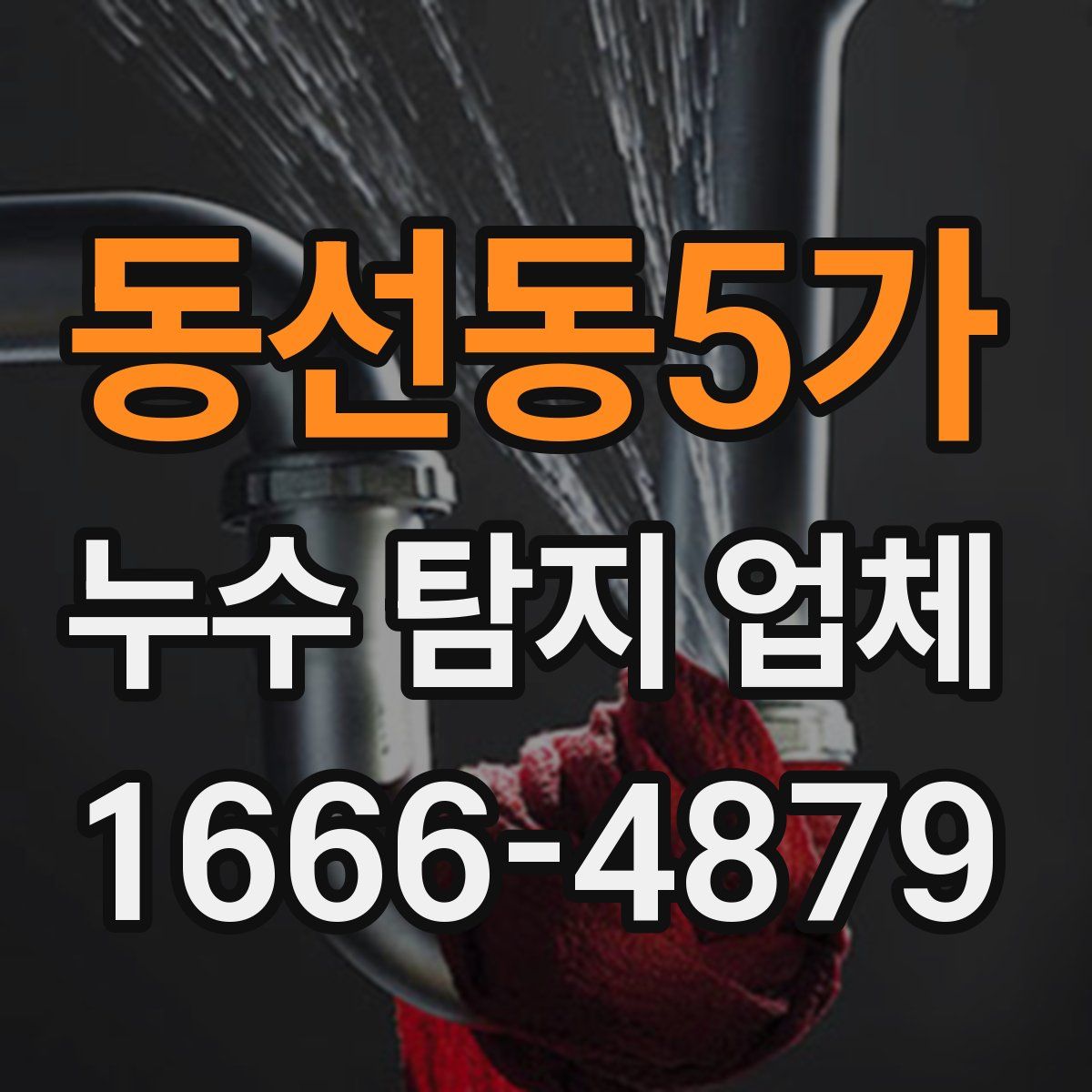 동선동5가 누수 탐지 업체