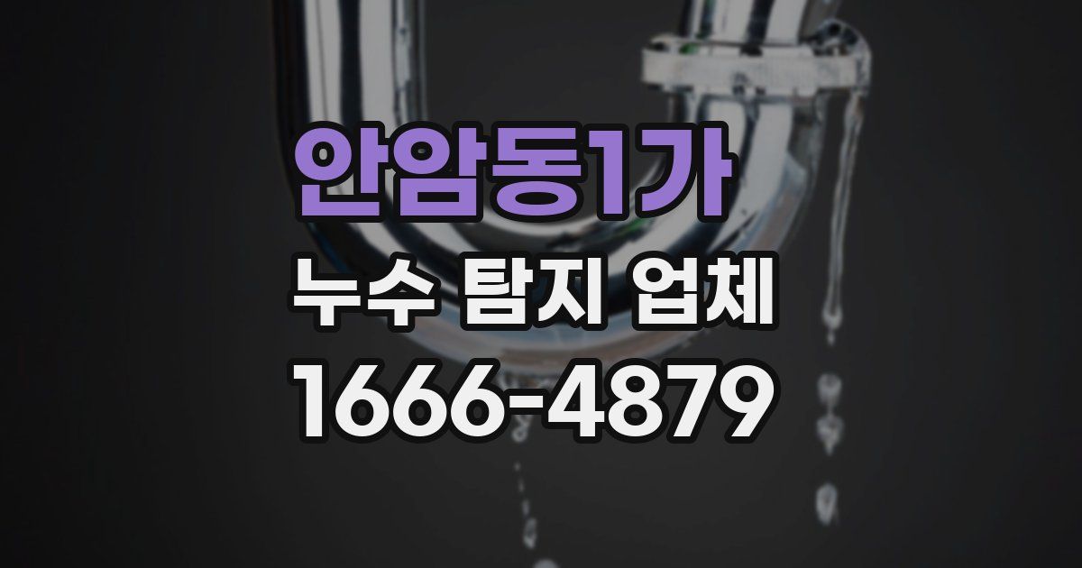안암동1가 누수 탐지 업체