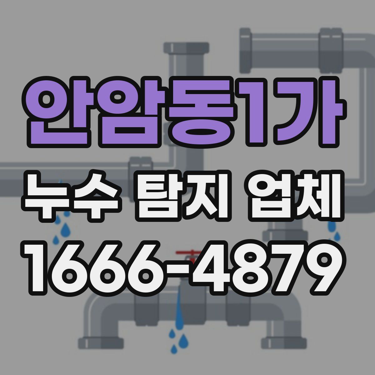 안암동1가 누수 탐지 업체