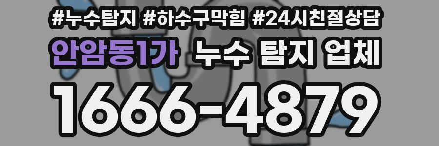 안암동1가 누수 탐지 업체