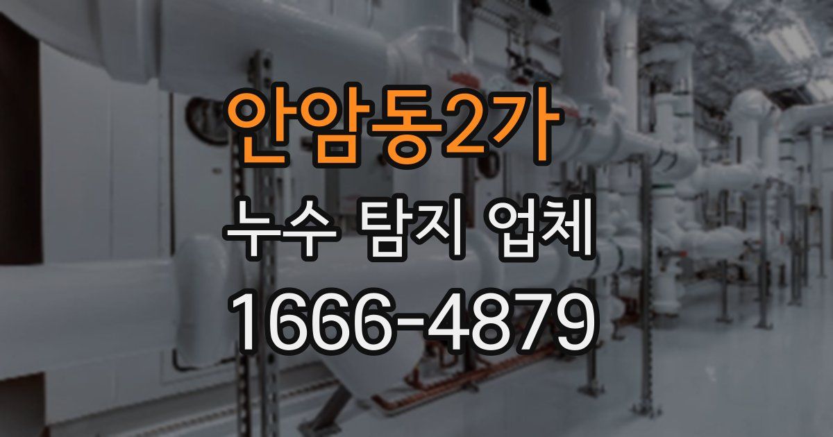 안암동2가 누수 탐지 업체