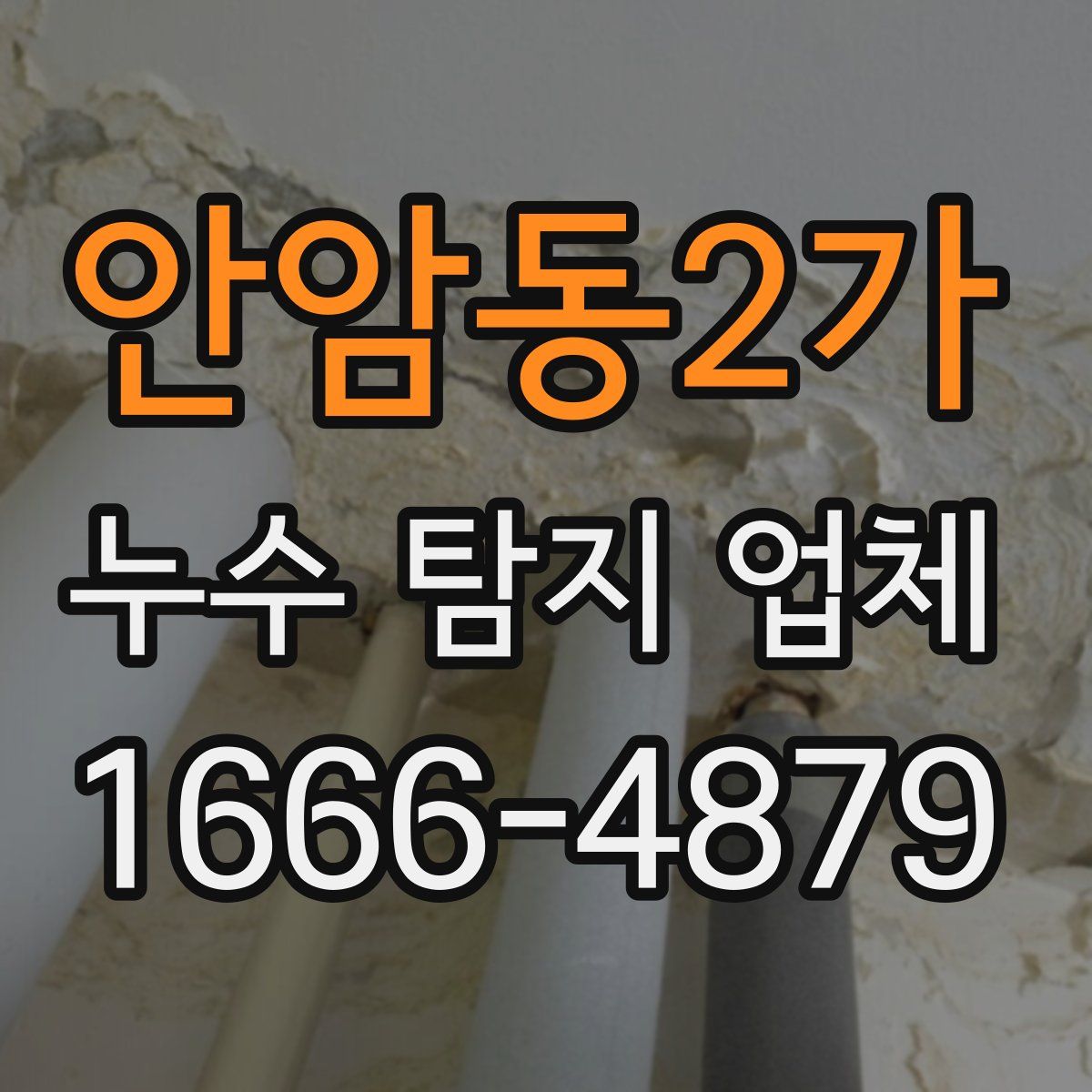 안암동2가 누수 탐지 업체