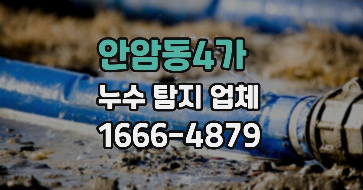 안암동4가 누수 탐지 업체
