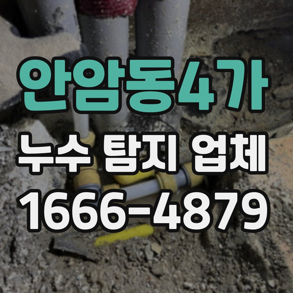 안암동4가 누수 탐지 업체