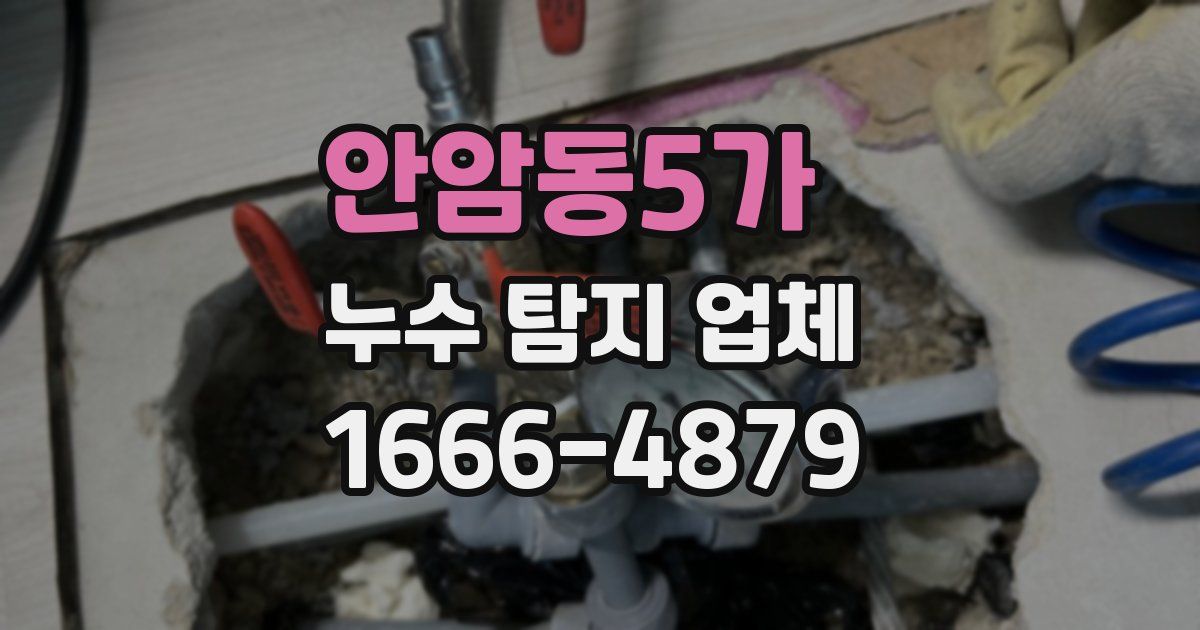 안암동5가 누수 탐지 업체