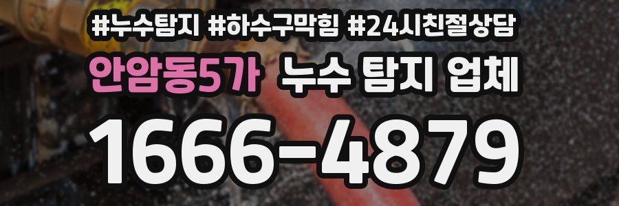 안암동5가 누수 탐지 업체