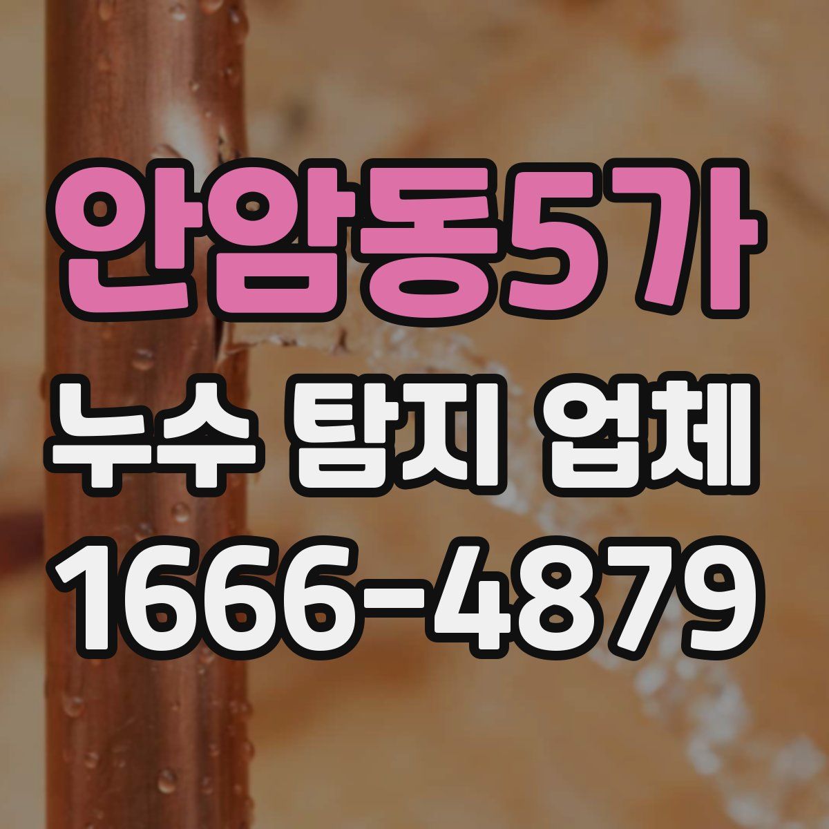 안암동5가 누수 탐지 업체