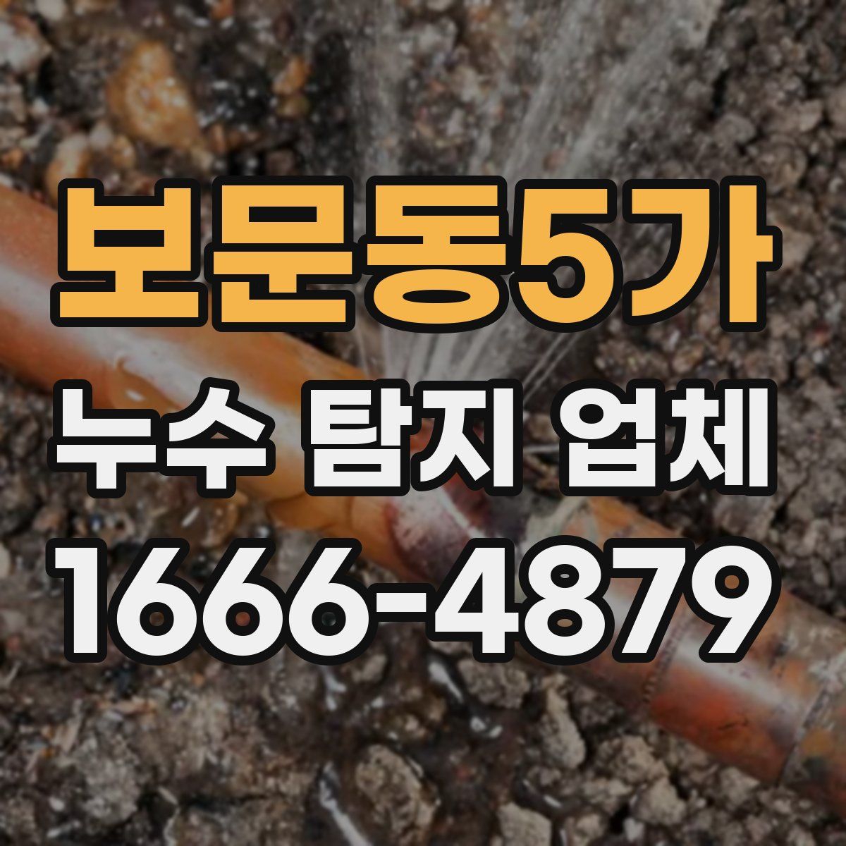 보문동5가 누수 탐지 업체