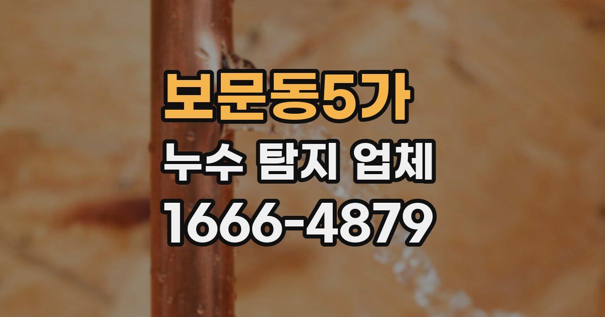 보문동5가 누수 탐지 업체