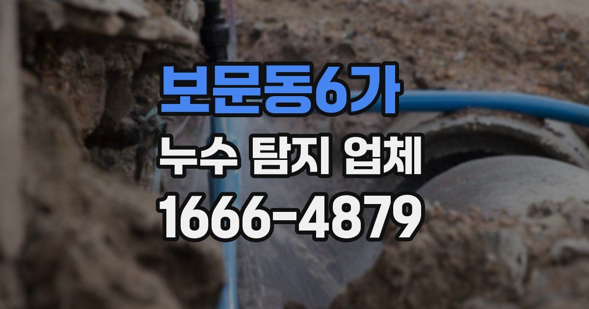 보문동6가 누수 탐지 업체
