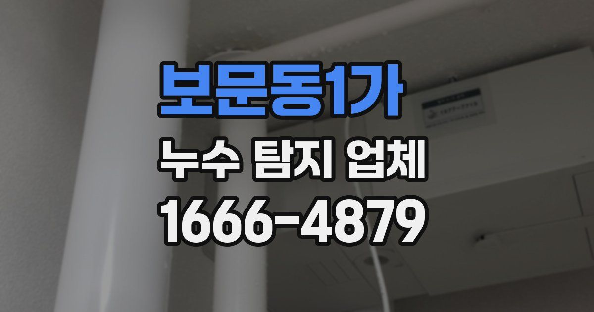보문동1가 누수 탐지 업체