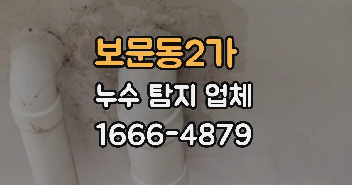 보문동2가 누수 탐지 업체