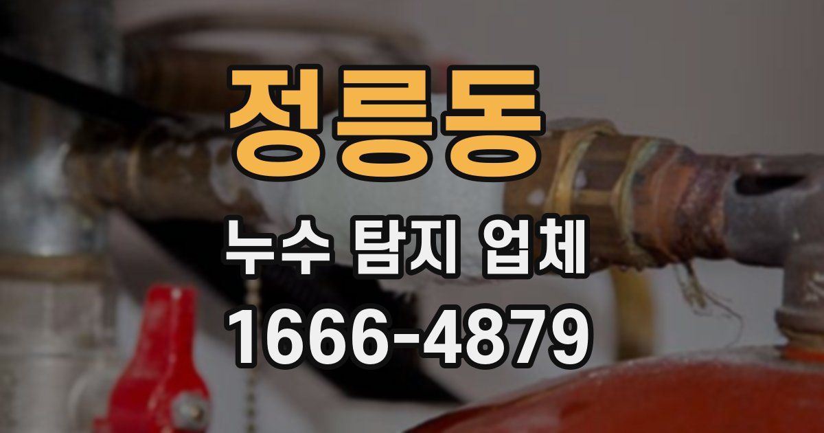 정릉동 누수 탐지 업체