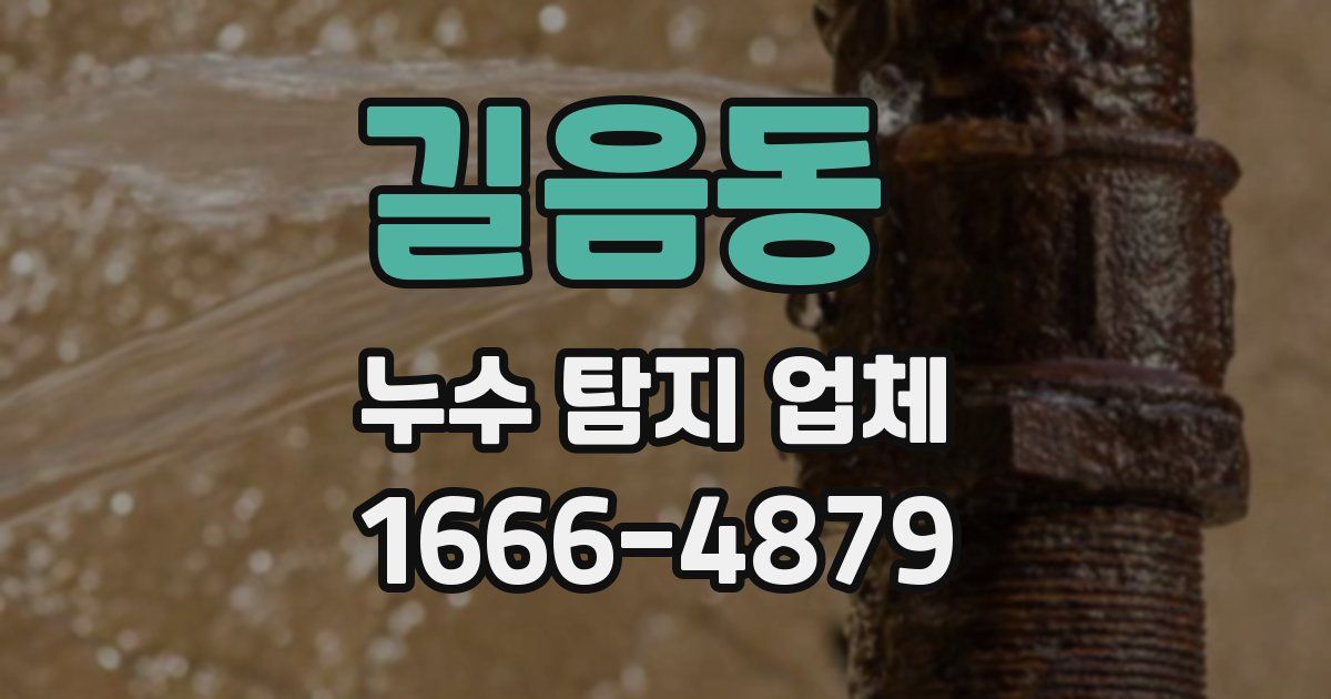 길음동 누수 탐지 업체