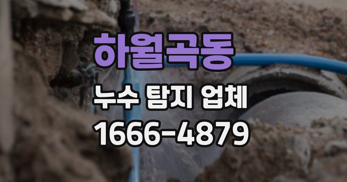 하월곡동 누수 탐지 업체