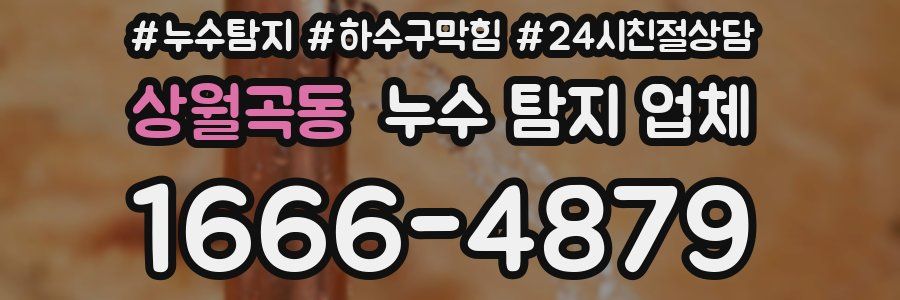 상월곡동 누수 탐지 업체