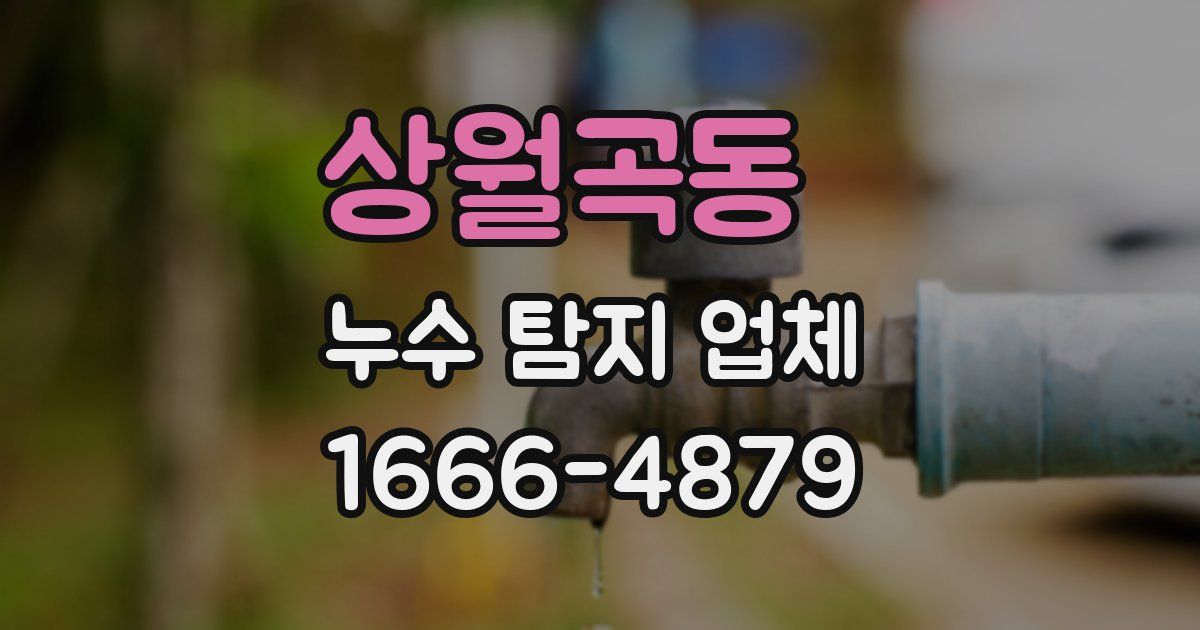 상월곡동 누수 탐지 업체