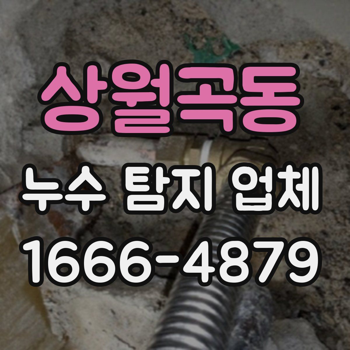 상월곡동 누수 탐지 업체
