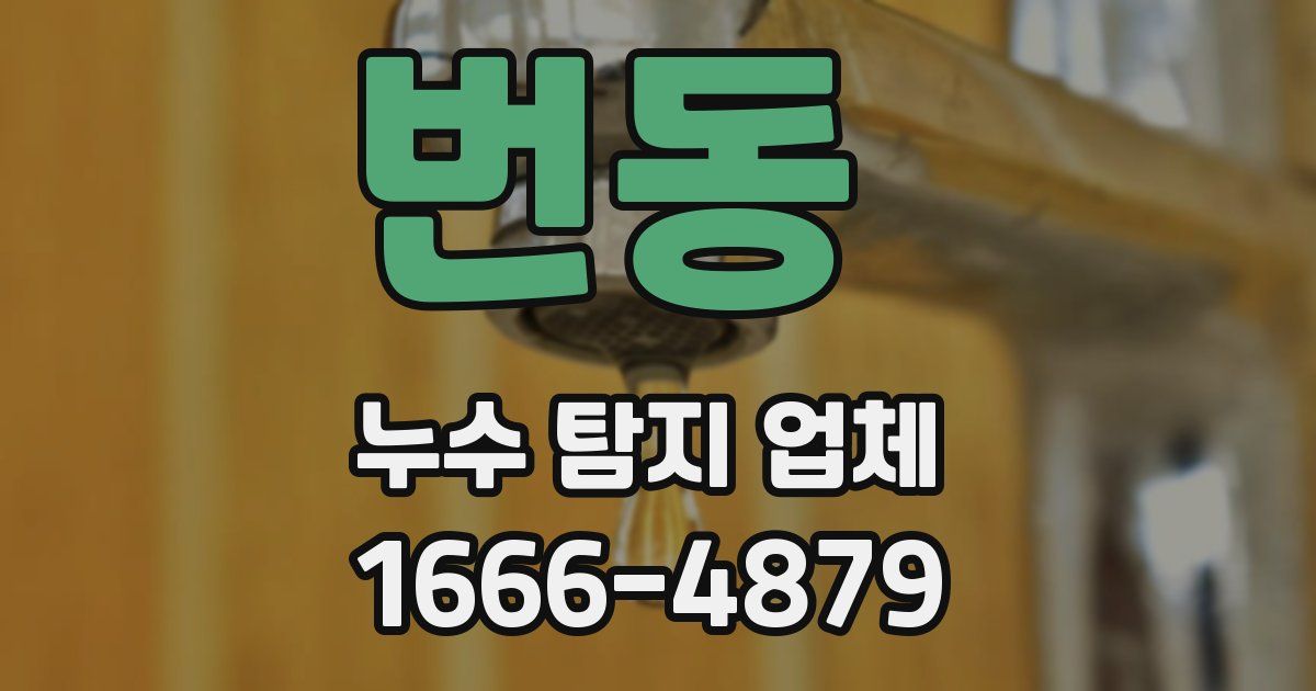 번동 누수 탐지 업체